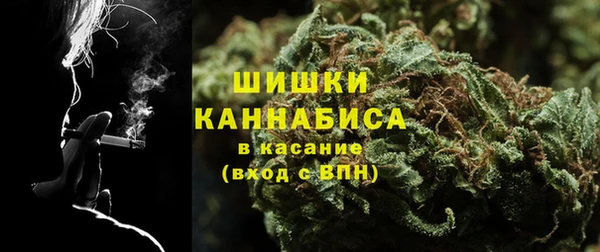 СК Аркадак