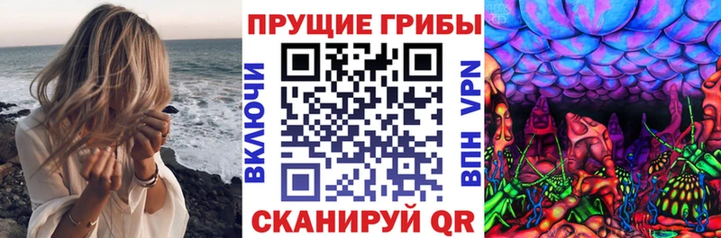 наркошоп  MEGA ТОР  Псилоцибиновые грибы мицелий  Почеп 